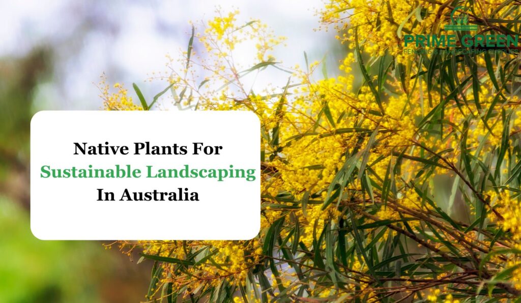 Native Plants For Sustainable Landscaping In Australia