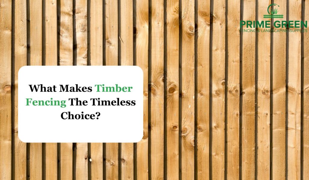 What Makes Timber Fencing The Timeless Choice