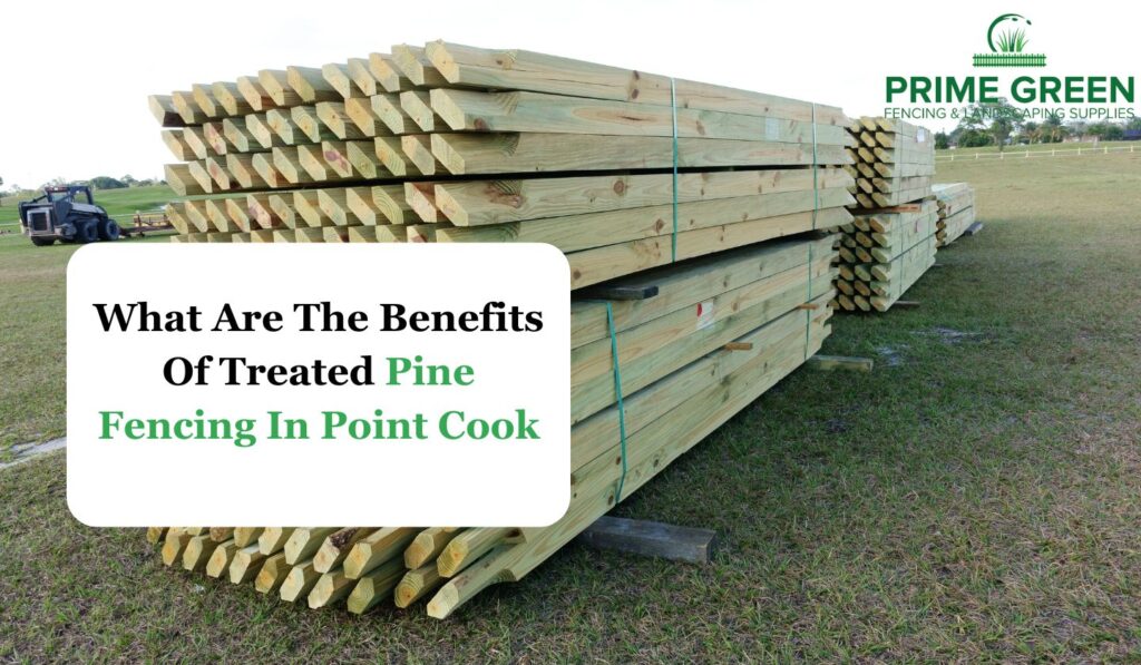 Treated Pine Fencing In Point Cook